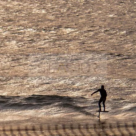 El Espartal De By Silastur * 萨利纳斯